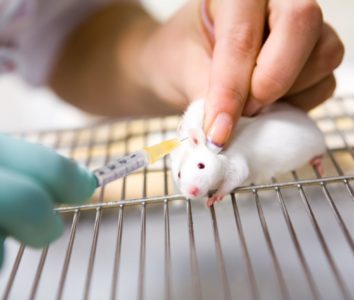 mouse vaccine pain