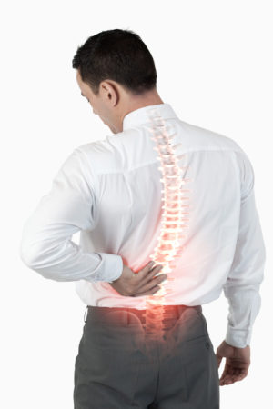 spine pain cohn