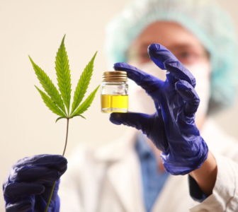 medical marijuana chronic pain